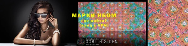 индика Беломорск