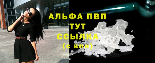 индика Беломорск