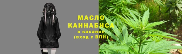 индика Беломорск