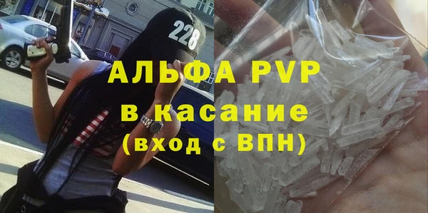 индика Беломорск