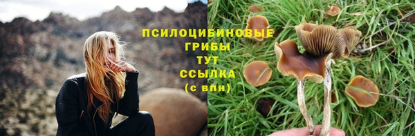 mdpv Белокуриха