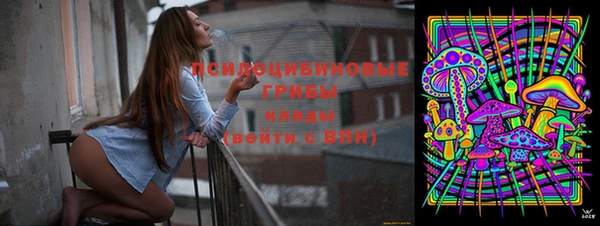 индика Беломорск