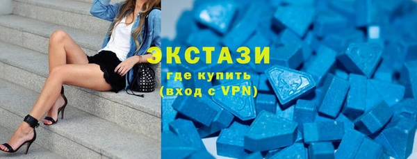 индика Беломорск