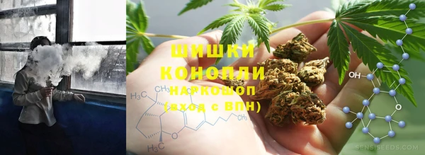 индика Беломорск
