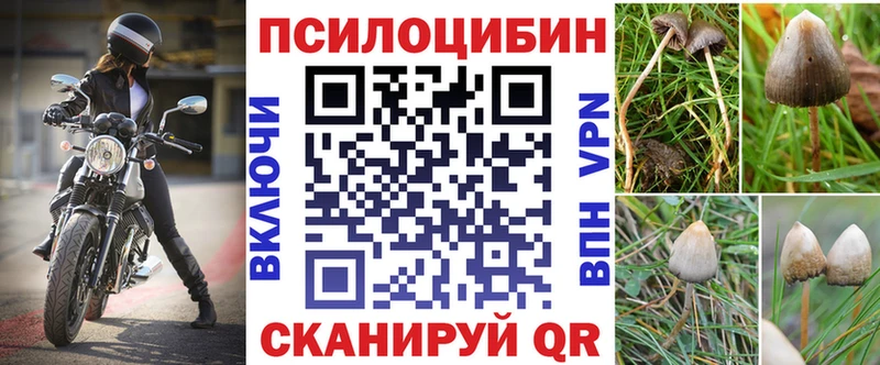Псилоцибиновые грибы Cubensis  Воскресенск 